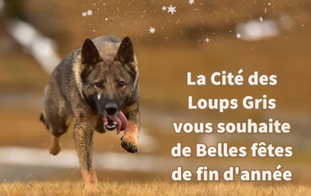 Quelques mots pour vous souhaitez de belles fêtes de fin d'année , elles seront certainement aussi particulières que cette année que nous avons vécu mais c'est des moments de convivialité et il faut les apprécier .... Alors pleins de bonnes choses à tout le monde et prenez soins de vous ?