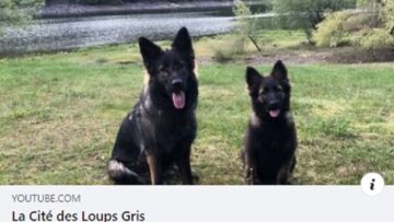 Vidéo d'une petite balade au lac de Kruth ce dimanche
