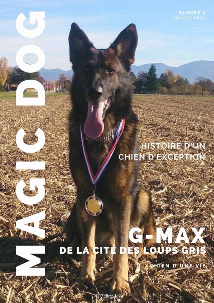 Quant nos poilus nous apportent cette énergie d'avancer ......Tellement d'émotions , d'aventures .... Un bien bel Hommage à G'Max et sa maitresse