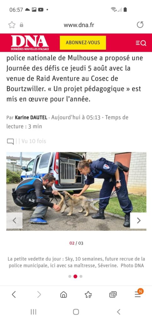 Toujours un énorme plaisir de suivre les débuts de formation dans l'utilité pour les Loups Gris et cette fois ci c'est avec Sky de la Cité des Loups Gris , née chez Pascale Issue de Phidjee de la Cité des Loups Gris et Havane des Jardins d'Al Gos Vedette du jour au sein de la Police , Sky aura été exemplaire et un grand merci à sa maitresse et conductrice , son équipe , pour le partage , pour les nouvelles et les photos de la louloute Bonne continuation à vous