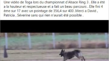 Beau souvenir de Toga et son plus beau concours (Septembre 2015)