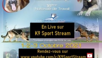 Dernière ligne droite pour la Nationale de travail et le plaisir