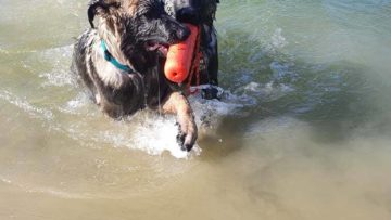 Petite sortie avec la maternelle , marche , jeux , natation
