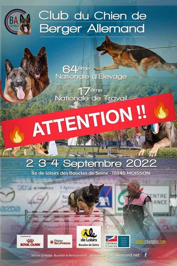 il manque actuellement des chiens en mondioring dans n'importe quel échelon et 1 chien en mondioring 3 pour l'organisation du concours à la ntba le 3 septembre 2022 !