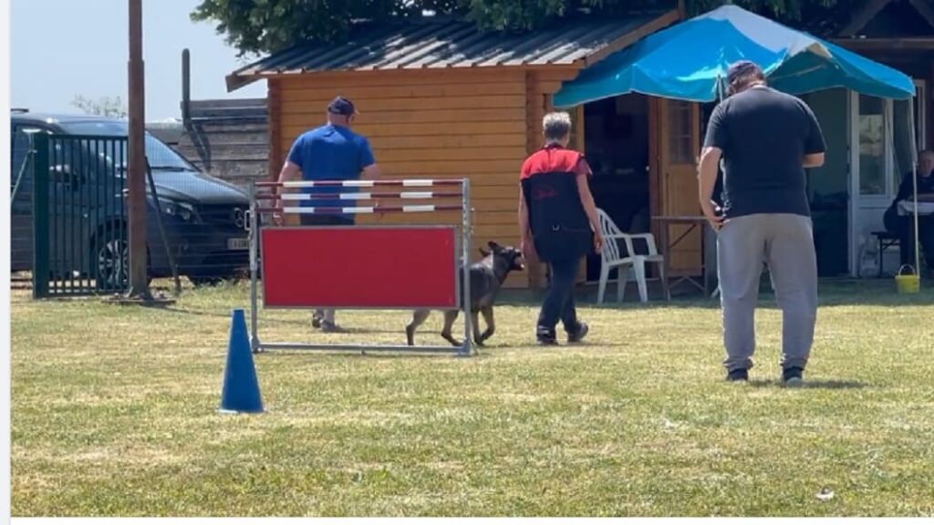 Retour du Concours Ring à Cernay et le plaisir de